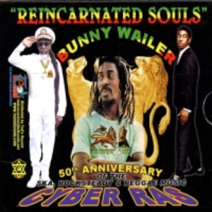 Reincarnated Souls cover