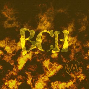 ~BCH~ 的头像