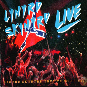 Lynyrd Skynyrd - Southern By The Grace Of God Tribute Tour 1987 - Zortam Music