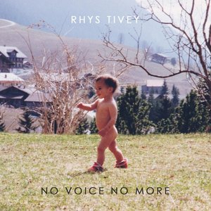 No Voice No More