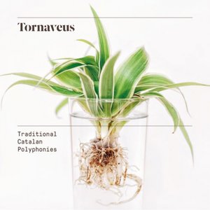 Tornaveus