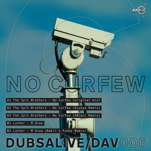 Dubs Alive 006