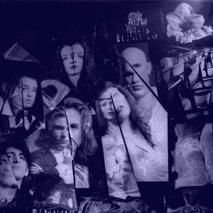 The New Creatures için avatar