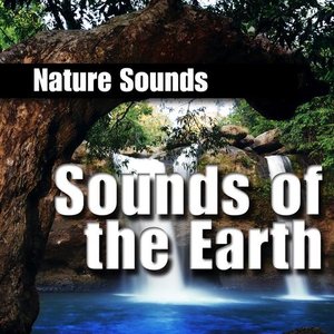 Nature Sound Library 的头像