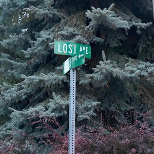 (if I) Runaway