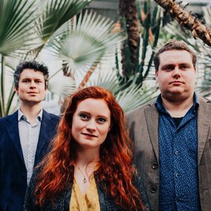 The Dovetail Trio 的头像