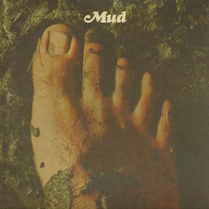 Mud