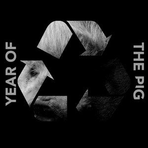 Year of the Pig