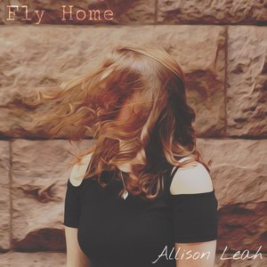 Fly Home