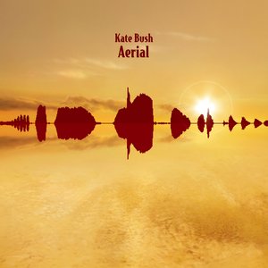 “Aerial (disc 2: A Sky of Honey)”的封面