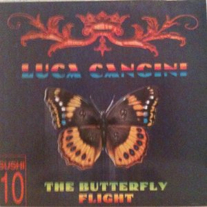 The Butterfly Flight