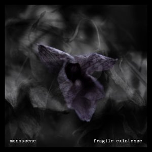 Fragile Existence - Single
