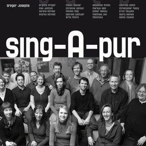 Sing-A-Pur 的头像