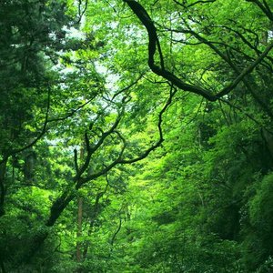 Hayama Ambient, Vol.2