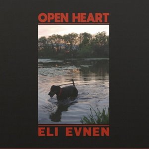 Open Heart