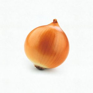 onion [Explicit]