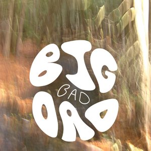 Avatar for big bad dad