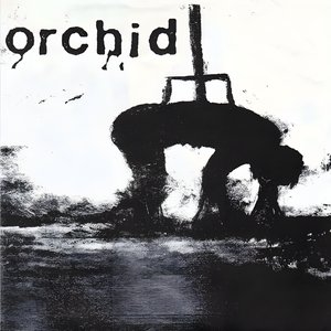 Orchid / Pig Destroyer