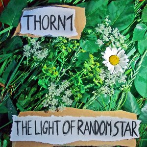 The Light of Random Star