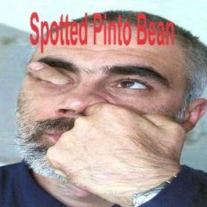 “spotted pinto bean”的封面