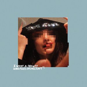 I Want a Shawty Who Plays Minecraft - Single