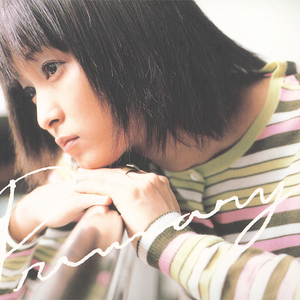 Primary cover