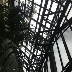 Things You Do (Black Kettle) - Single