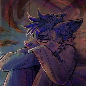 Muffin Fox 的头像