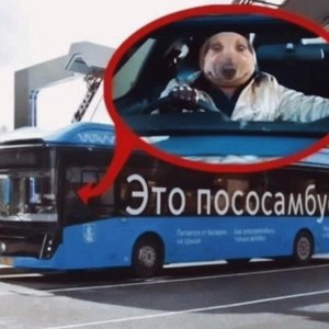 это электробус. 的头像