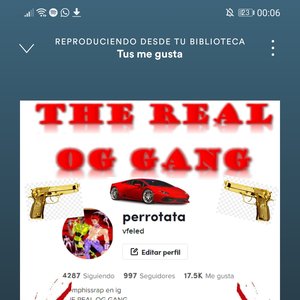 Avatar for Perroteta