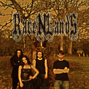 Ravenlands 的头像