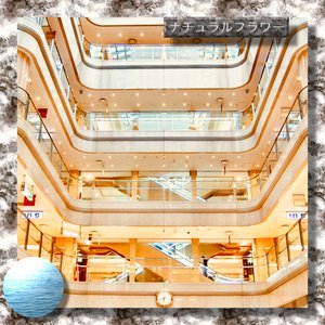 ❁ＳＨＯＰＰＩＮ G　M A L L❁ナチュラルフラワー❁