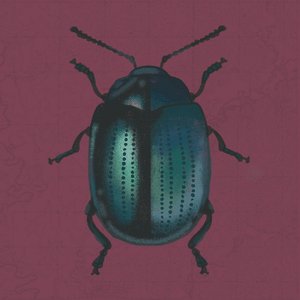 Plum Sky - single