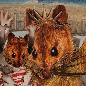 Rats - Single