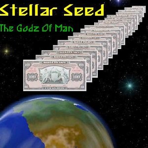 Image for 'Stellar Seed'