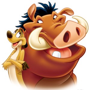 Ernie Sabella & Nathan Lane 的头像