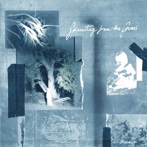 Sprouting from the Gums