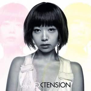 EXTENSION