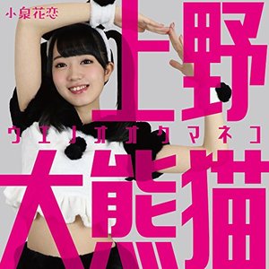 上野大熊猫