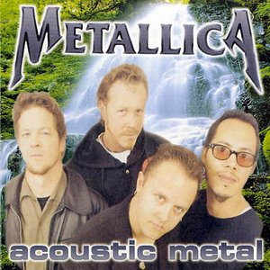 Image for 'Acoustic Metal'