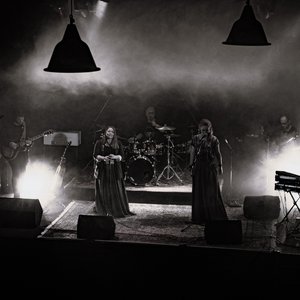 Zari のアバター