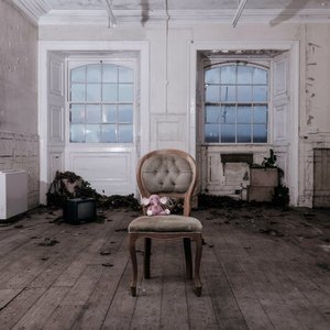 Elephant - Single