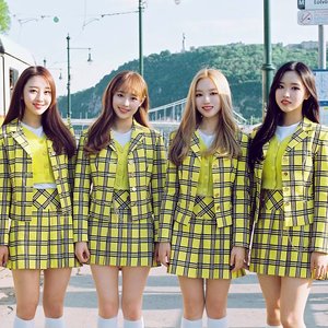 yyxy 的头像