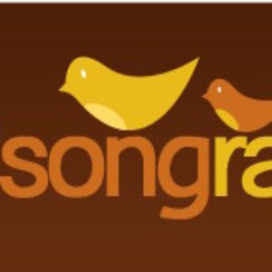 Awatar dla Birdsong