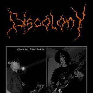 Discolony 的头像