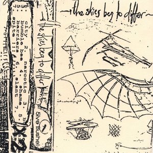 The Skies Beg To Differ 的头像