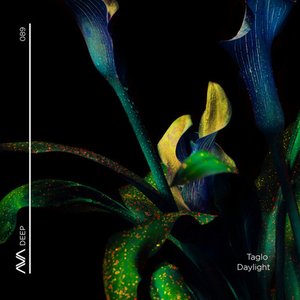 Daylight - Single