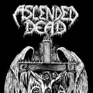 Demo I (Ascended Dead)