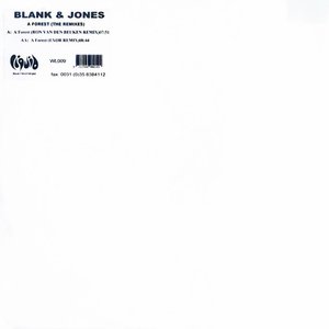 A Forest (the Remixes)