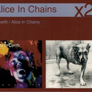 Facelift / Alice in Chains